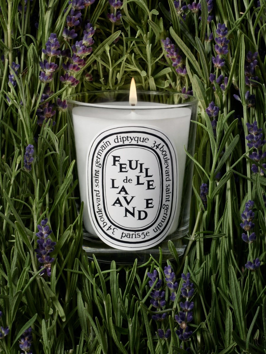Feuille de Lavande (Lavender Leaf) Classic Candle 190G