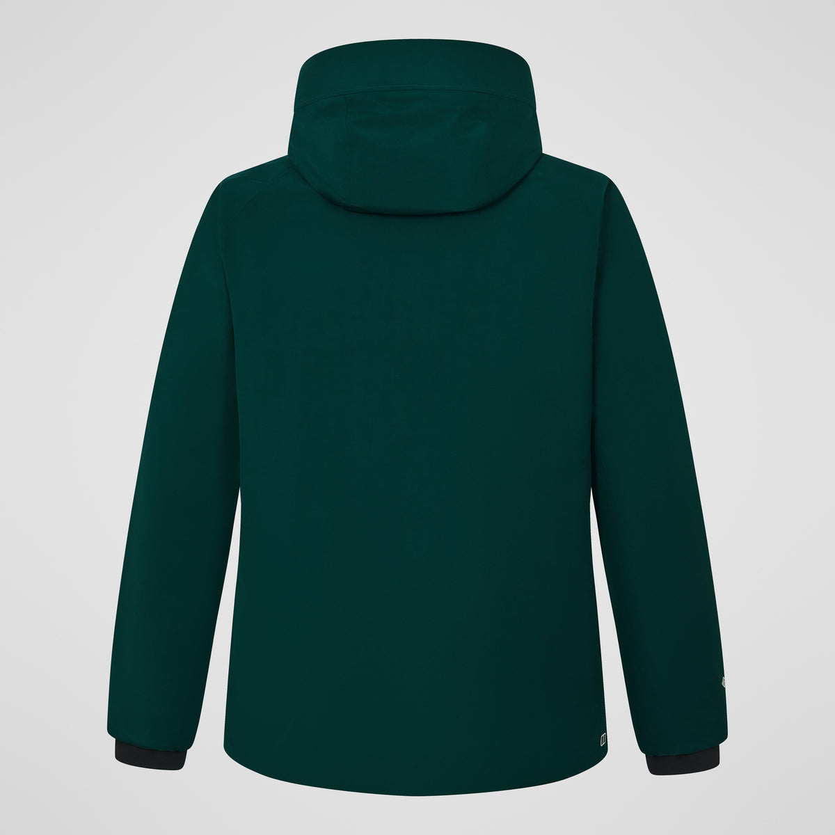 Men's Fernly Gore-Tex Down Parka - Green