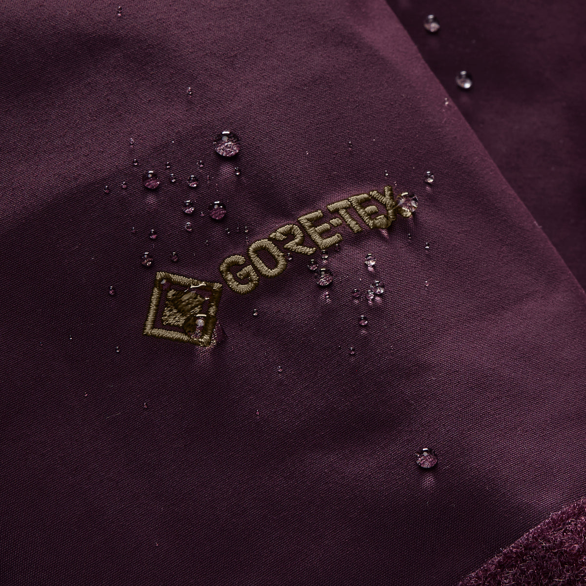 Women's Kielder Gore-Tex Interactive Jacket - Chakra