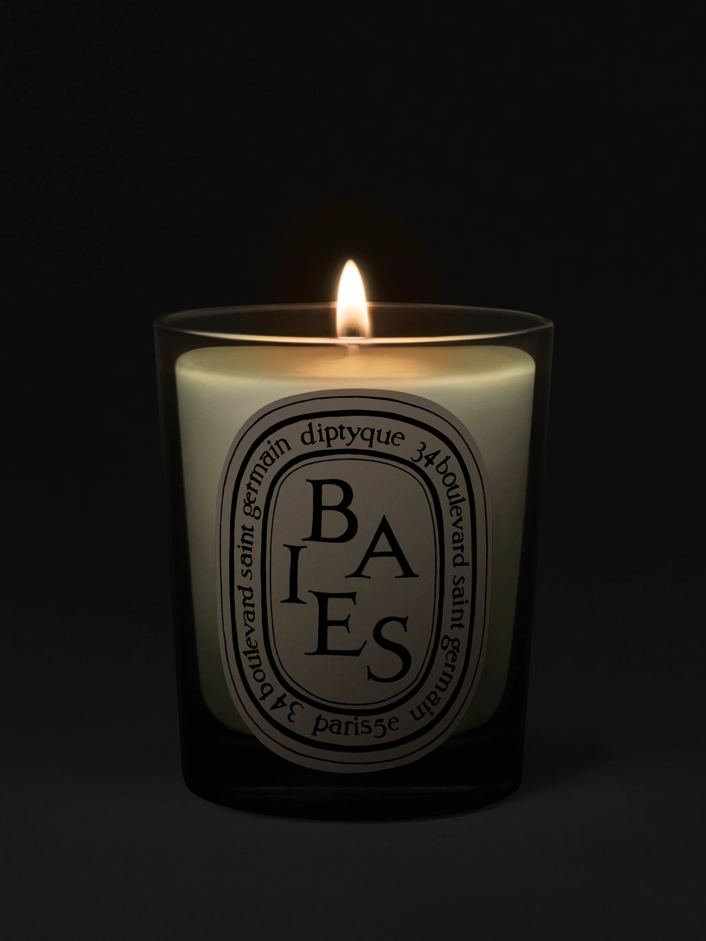 Baies (Berries) Classic Candle 190G