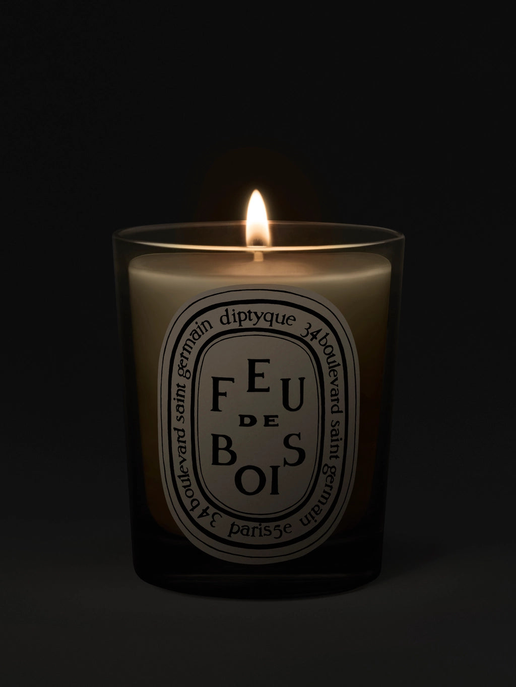 Feu de Bois (Wood Fire) Classic Candle 190G